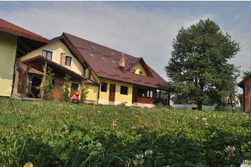 Rumunija Privát Arbore, Eksterijer